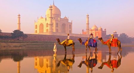 Halal Food Tour 4-5 days Includes Delhi Jaipur Agra