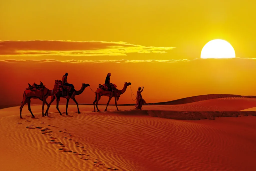rajasthan tour
